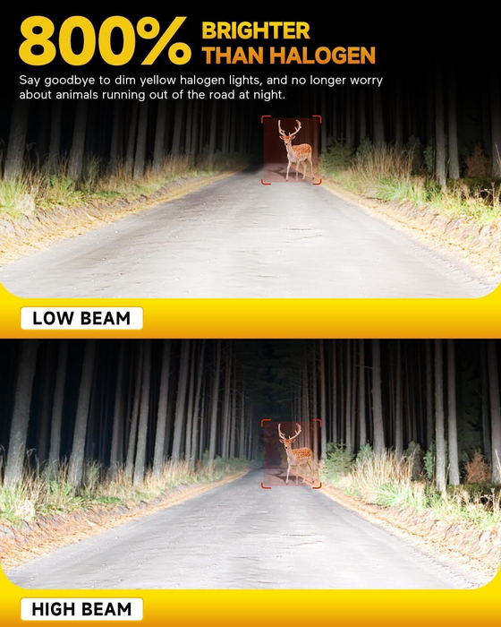 FAHREN 2025 H4 9003 LED Headlight Bulbs 800% Bright, Pack of 2